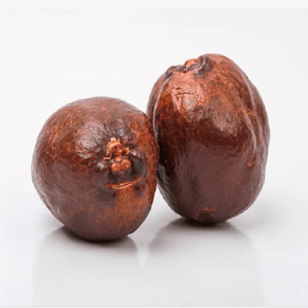 Premium Doum Fruit – Whole Dried Gingerbread Palm Fruit