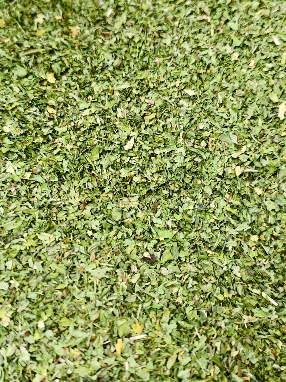 Dried Mint Leaves | Natural Dried Mint for Tea, Drinks & Cooking