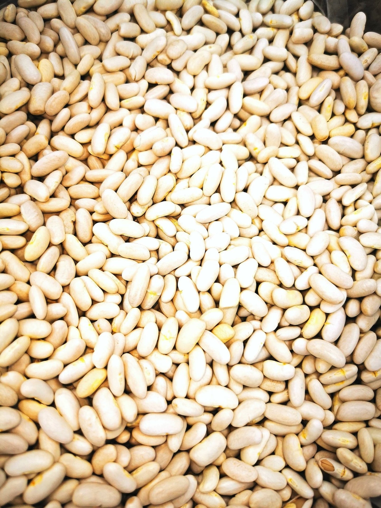 Premium White Kidney Beans - High Protein & Fiber