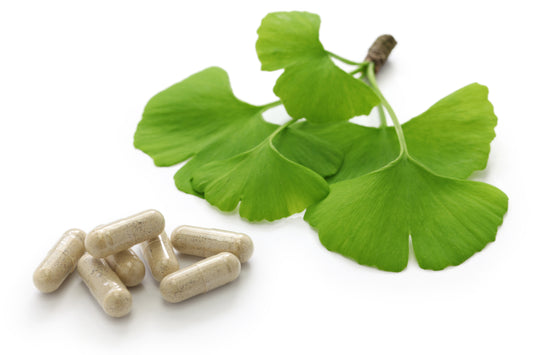 Ginko Biloba Leaves
