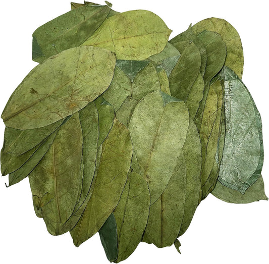 Premium Dried Graviola Leaves – Natural Soursop Leaves for Herbal Infusions - 50g
