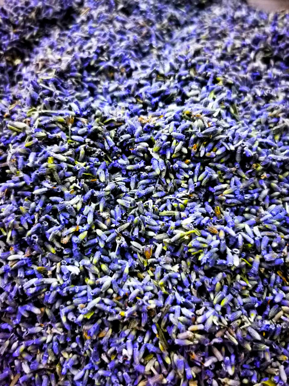 Dried Lavender Flowers | Natural Herbal Tea & Aromatherapy