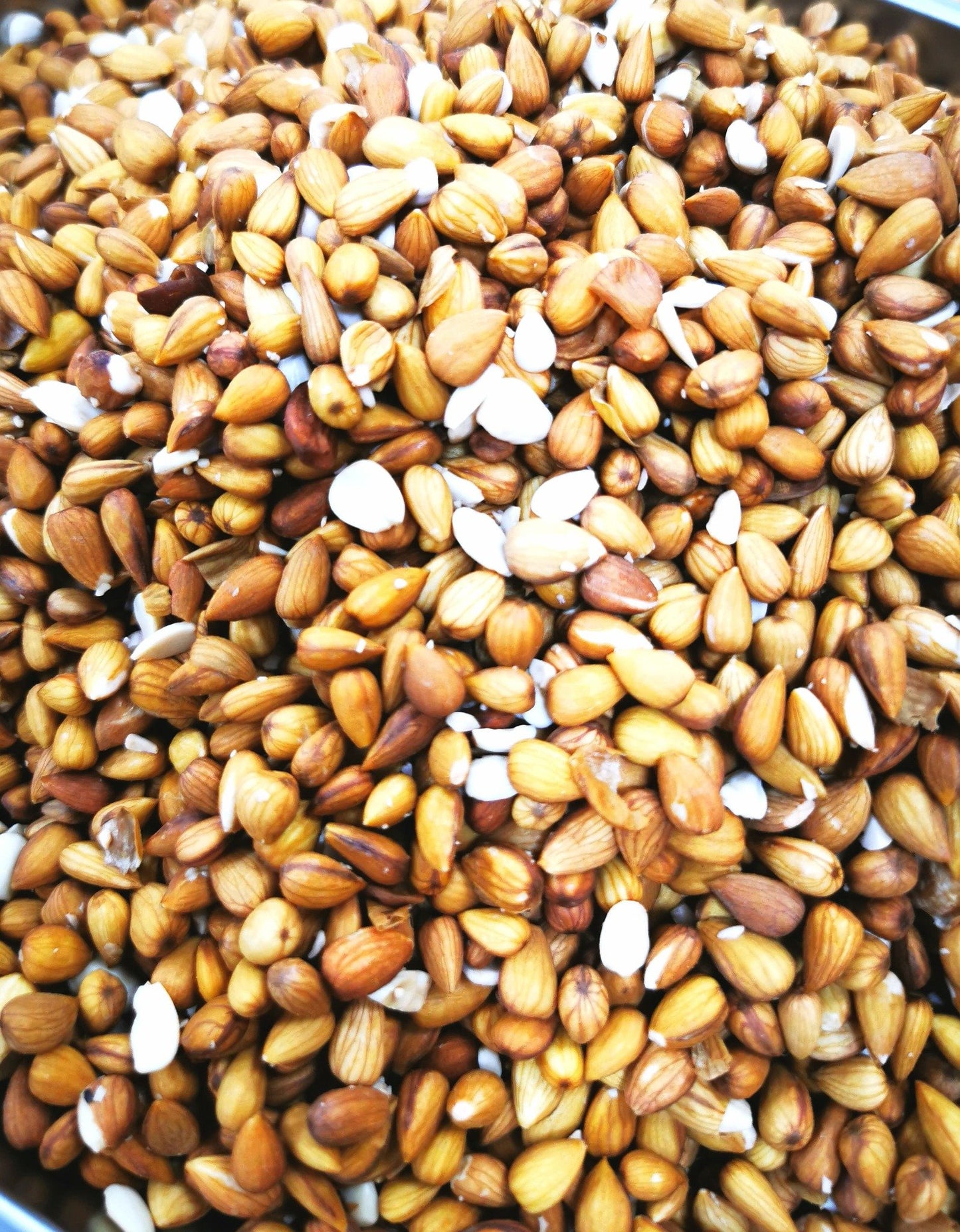 نوى مشمش مر طبيعي - ميز - طازج وخالٍ من الإضافات