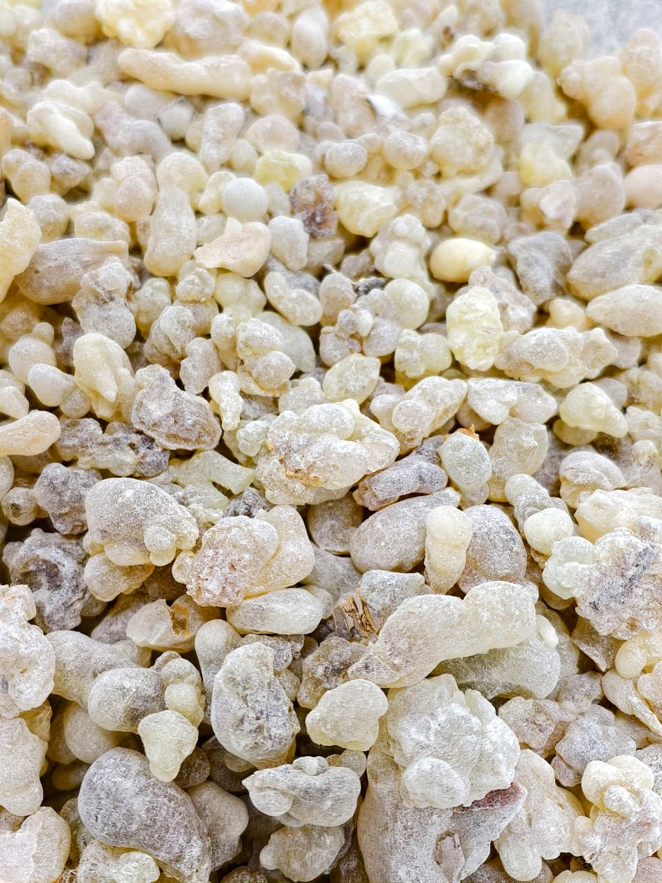 Premium Omani Frankincense | Natural Luban Resin | High Quality Omani Luban