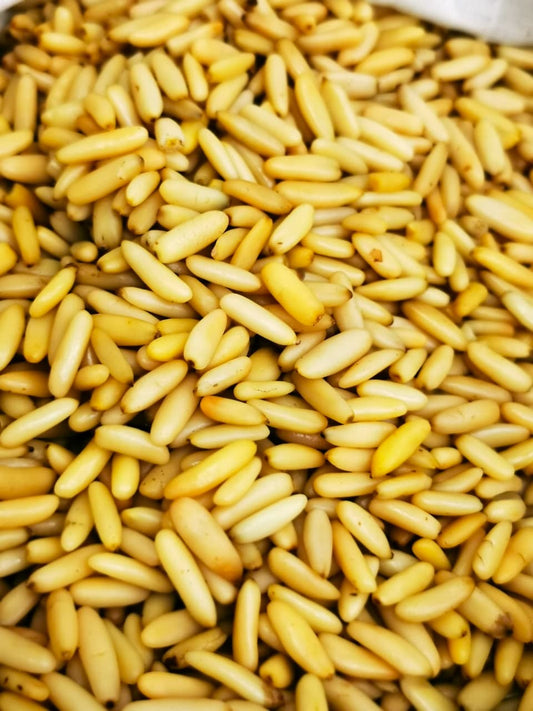 Raw Pine Nuts | Premium Natural Pine Kernels
