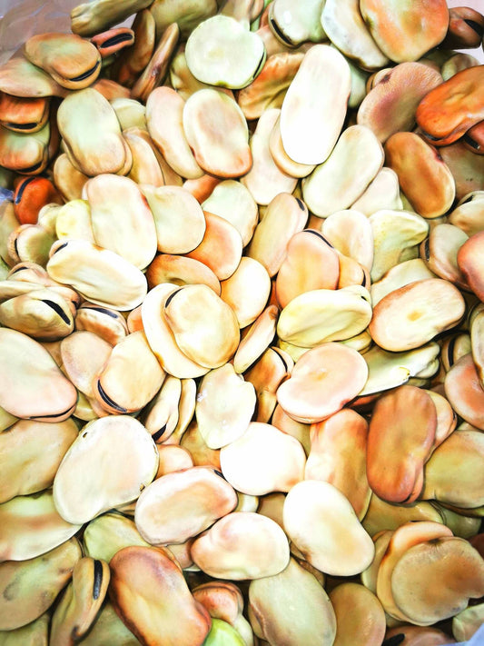 Premium Broad Beans - High Quality & Fresh Flavor
