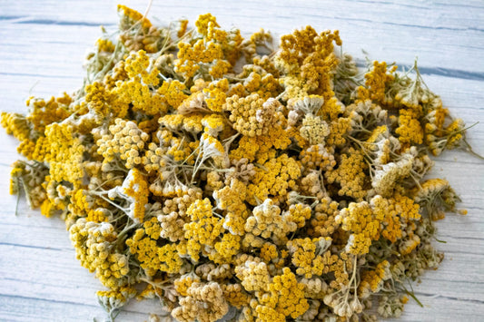 Premium Dried Qaysoum Herb – Achillea millefolium - 100g