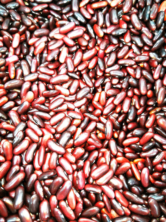 Red Kidney Beans - Premium Quality