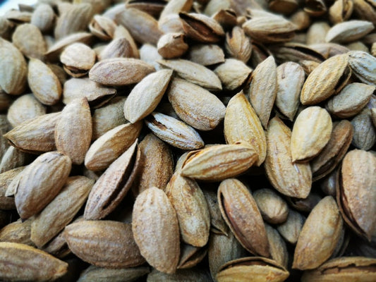 Sweet Almonds with Shell – Premium Quality Raw Nuts