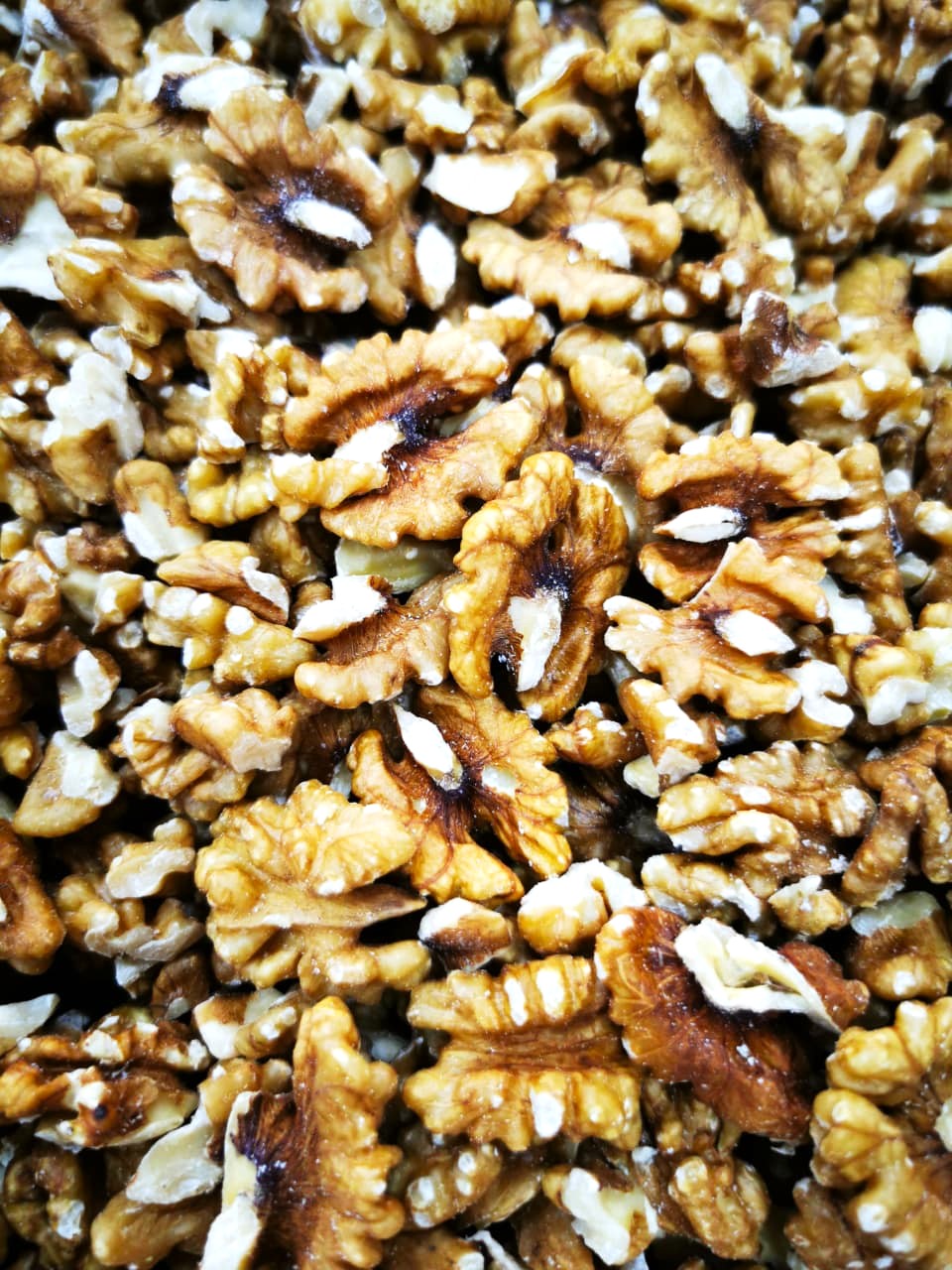 Raw Walnuts USA | Premium Natural Walnut Kernels